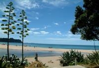 Hot Water Beach