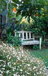 Colleith Lodge Bed and Breakfast Tairua NZ