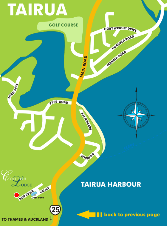 Map Tairua
