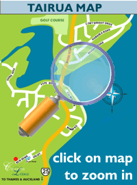 Click on map to zoom in